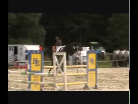 Coleur Noir Bad Liebenstein Punkte L