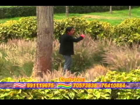 Cervecita Mia - Grupo Real Dolor