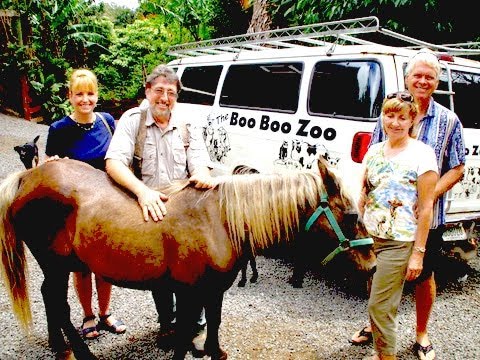 Gimme Shelter at the Boo Boo Zoo