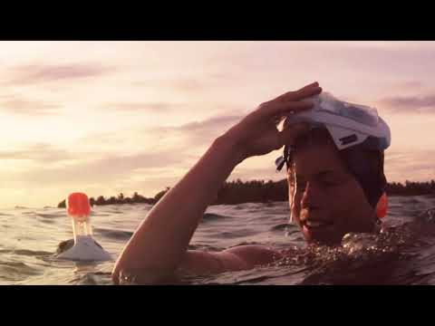 Decathlon - Your Sports Store On Smile Shop