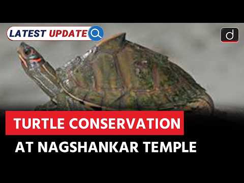 Nagshankar Temple Leads Turtle Conservation | Turtle | Latest Update | Drishti IAS English