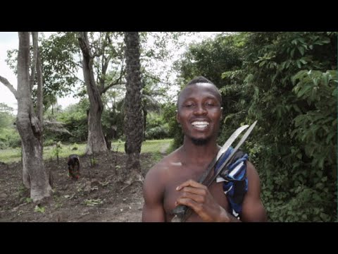 MSM 1000 FT MAGGIE: Africa Lowae