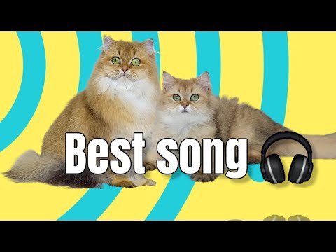 Best songs. Alema, Robbe, ITALEE, Alessia Labate, Dame Dame, Cour, Faruk Orman, Meric Again, PHARAOH