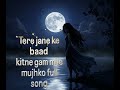 Tere Jane Ke Baad Kitne Gam Mile Mujhko Ek Aisi Bhi Wo Ghadi Thi Kya Zamana Tha Full Song