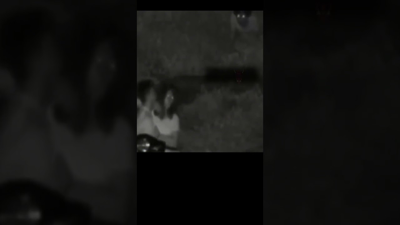 Night Vision CCTV Captures Creepy Figure Crawling Towards Couple!