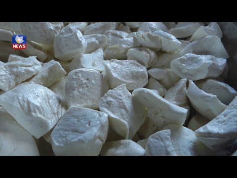 بەڤیدیۆ.. زۆری بارانبارین بەرهەمی پەنیری لە رۆژئاوای كوردستان زیادكردووە