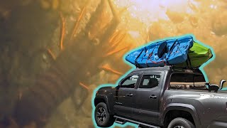 Night Diving off a Kayak for Lobster