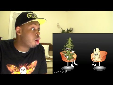 Marijuana VS. Crystal Meth - Funny but true video REACTION!!!