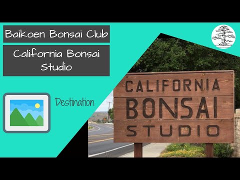 California Bonsai Studio - Destination - Baikoen Bonsai Club - Safer @ Home Series