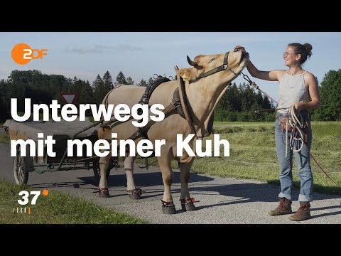 Abenteuer Wanderung: Unterwegs mit Kuh Ina I 37 Grad