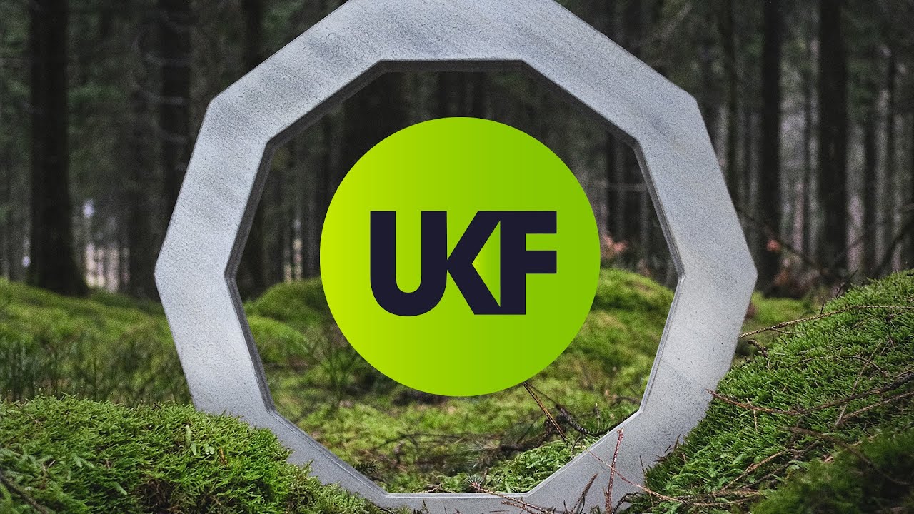 Hybrid Minds & Birdy - State Lines