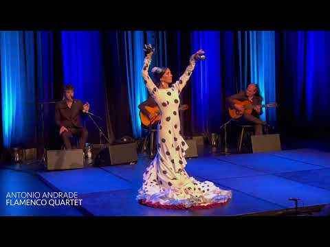 Antonio Andrade Quartett – Theaterhaus Stuttgart 2021