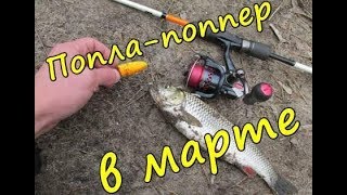 Ссылка