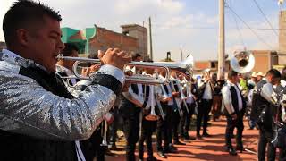 EL BECERRO CON BANDA