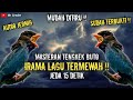 NGERIII MASTERAN TENGKEK BUTO IRAMA LAGU TERMEWAH JEDA 15 DETIK