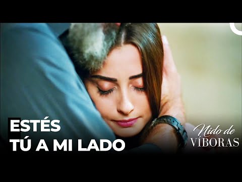 Los Momentos Más Tranquilos De Elvan - Nido De Víboras