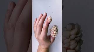 Download lagu Oh my gosh how many nails do I have 😱 #sfx #sfx_makeup #sfxartist #youtubeshorts #art #shorts mp3