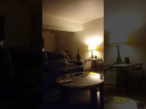Disappearing trick on my cat Duke