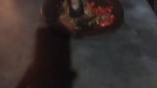 Download lagu Goyang ulek ulek mp3