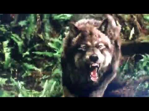 Twilight Wolves - Running with the Lions (Loving Caliber feat. Willow)