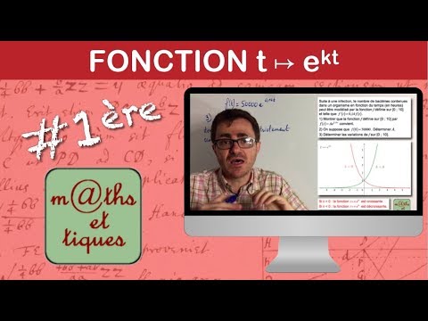 Etudier une fonction exponentielle (e^kt) dans une situation concrète - Première