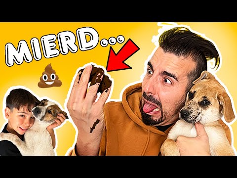 ¡RUTINA de SÁBADO con 8 MASCOTAS!! Los CACHORROS la lían en CASA