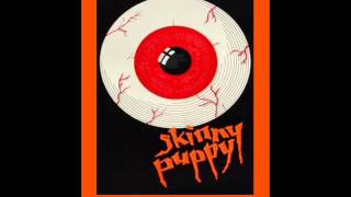 Skinny Puppy 1988.10.07 The Warfield San Fransico CA Full Show Audio Only