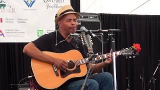Guy Davis - Little Red Rooster - Live at Kitchener Blues (KBF) Festival 2015