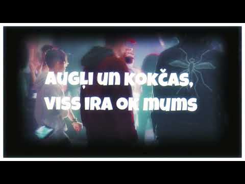 Kristjix x Evy x Desperado - Augļi Un Kokčas (Liriku video)