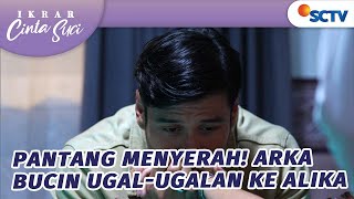 Download lagu Pantang Menyerah! Arka Bucin Ugal-Ugalan ke Alika | Ikrar Cinta Suci - Episode 35 mp3