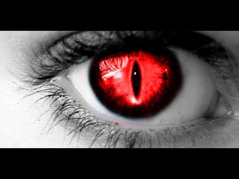 A ka mundësi të ndodhi shtatëzania midis njerëzve dhe xhindëve? - Dr. Imam Ahmed Kalaja