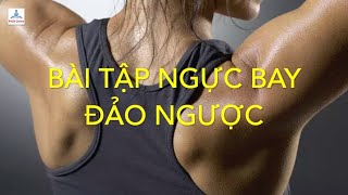 Bv41. Bài tập ngực bay đảo ngược