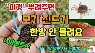 ★이벤트★모기 진드기 이것만 뿌려주면 백만마리가와도 한방 안물려요 천연유래 기피제 모기유충 퇴치방법 #모기기…