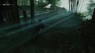【Ghost of TSUSHIMA】買ったからちょっとやる