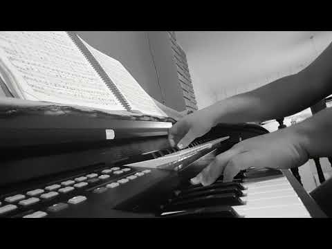 CCB Hino 204 - Só Jesus é amigo verdadeiro -  Tokai YX 400 Organist