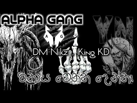 විනාස වෙන්න දෙන්නෑ ( winasa wenna denna ) - ALPHA GANG 🐺 DM Nikz ft King KD ☠️ YN music 🎭