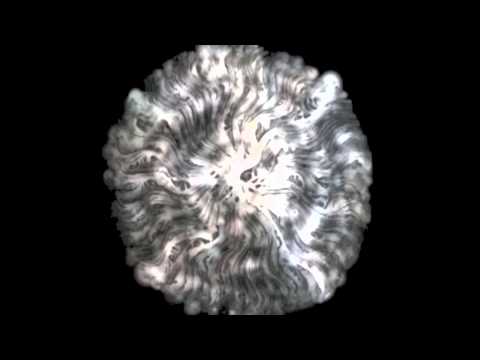 Rob Clouth - The bridge and the lights (Traum 157)