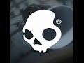 Ausinės Skullcandy | Grind True Belaidės Earphones | S2GTW-P751 | Belaidės | į ausis įkišamos | Light Pilkas/Mėlyna