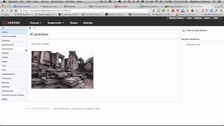 How to insert an image into a Discussion reply