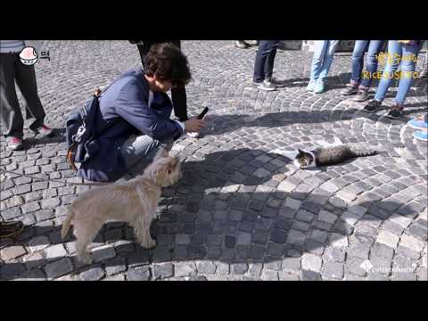 [ENG SUB] 찰떡B.A.P ‘PARTY BABY!’ EUROPE BOOM Budapest Special Clip