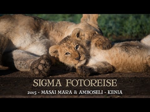 SIGMA - FOTOREISE 2015 - AFRIKA - KENIA - MASAI MARA