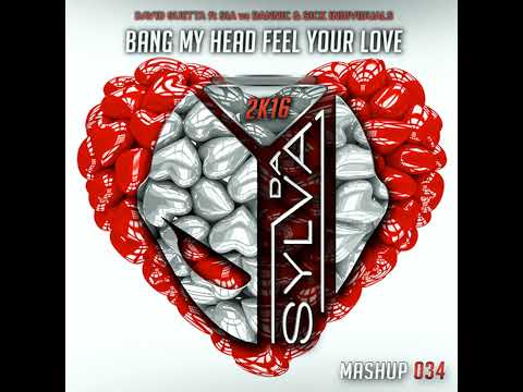 David Guetta ft Sia Vs Dannic x Sick Individuals - Bang My Head Feel Your Love (Da Sylva Mashup)