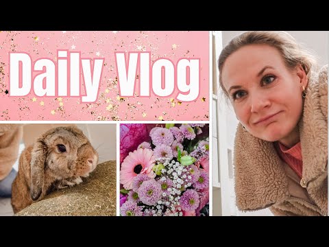 Am Geburtstag krank geworden | Kaninchen Erik feiert seinen 3. Geburtstag