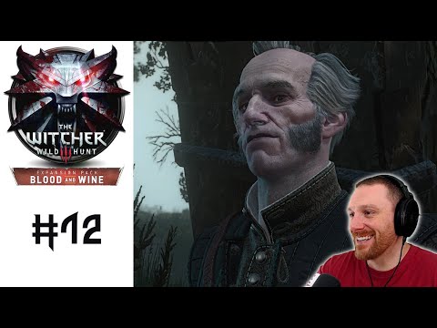 Bro Time!! | The Witcher 3: Blood And Wine | (Blind) Let's Play - Part 12