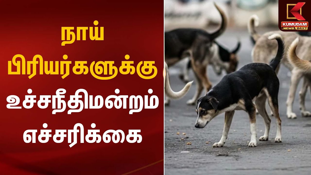 Dog Bite |  நாய் பிரியர்களுக்கு உச்சநீதிமன்றம் எச்சரிக்கை | Kumudam News