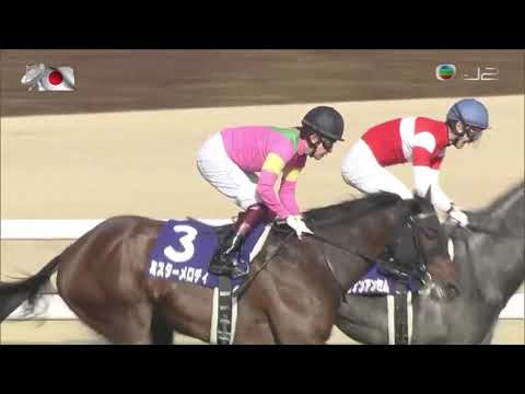 2019 Takamatsunomiya Kinen International Group 1 1200m