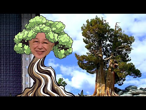 Юмор! Юмор!! Юмор!!! Выпуск 196