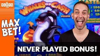 🐼Pandas 🐳Whales &amp; MORE! 🎉✦ BCSlots at San Manuel Casino