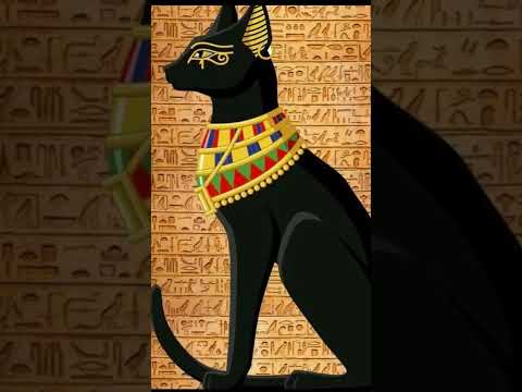 The Dominant Role of cats in the culture of Ancient Egypt.