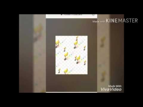 Musica não se admire